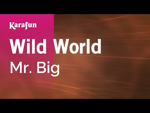 Wild World - Mr. Big | Karaoke Version | KaraFun