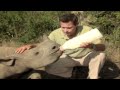 Jeff Corwin 100 Heartbeats