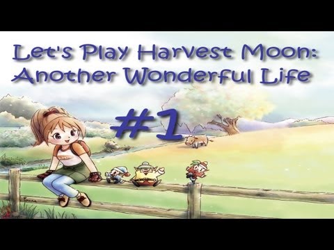 harvest moon another wonderful life gamecube cheats