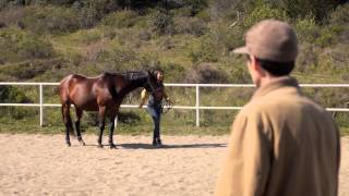 One Horse at a Time HD