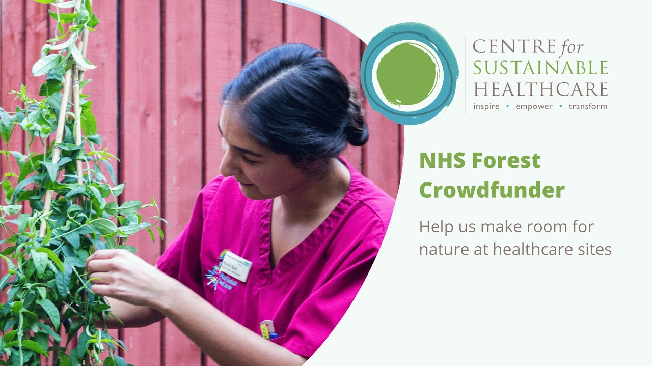 NHS Forest Crowdfunder - Help us plant 6,000 trees on healthcare sites
