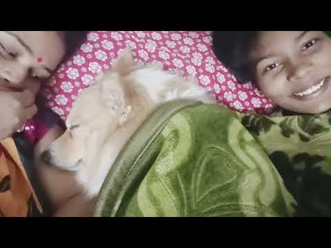 Daily vlog. |Daily vlog ideas |daily vlog hashtags YouTube |daily vlog Bengali| daily vlog in India.