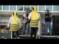 Honeybees Baby Bear Scene NRC Opening Part 2