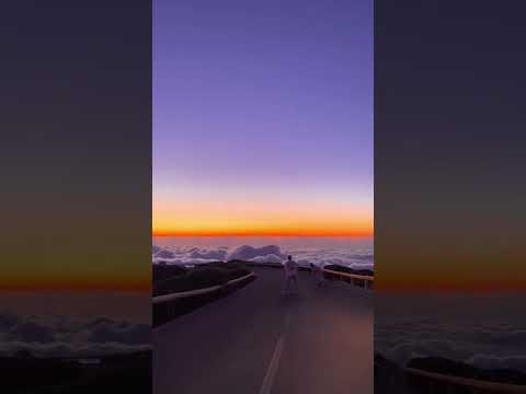 ROBPM “Phenomena” is out on Autektone Now!