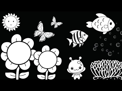 Baby Sensory Video - Black And White Baby Stimulation - Newborn Sensory Stimulation #babyvideos 