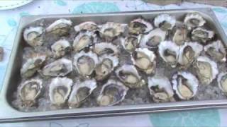 preview picture of video 'Lund Shellfish Festival 2010'