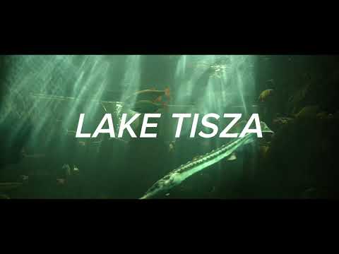 Discover the wonders of Lake Tisza