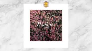 Wallows - These Days