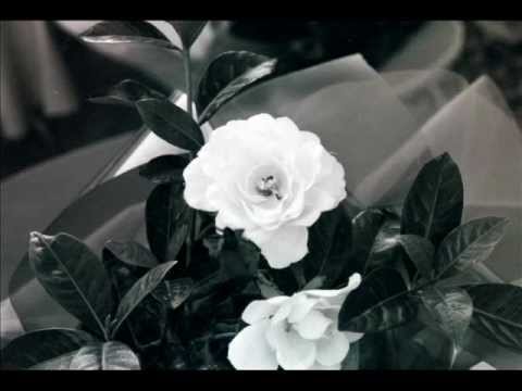 DOURCYNIC - Improv Jam #351