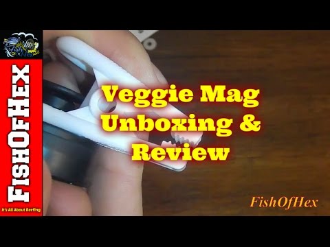 download lagu mp3 mp4 Veggie Mag, download lagu Veggie Mag gratis, unduh video klip Veggie Mag
