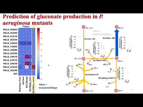 Genome-scale modeling of Pseudomonas... - Sanjeev Dahal - SysMod - Poster - ISMB/ECCB 2021