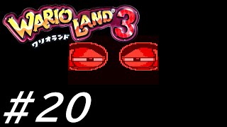 レンズ越しの太眉【ワリオランド3 不思議なオルゴール】#20