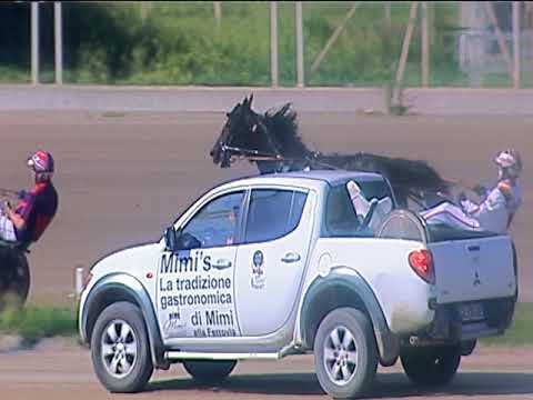 Trotto 04/06/2019 - 5ª corsa