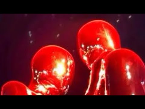 Brrrberry$horty - SHOEBOX (PROD JBAND$)