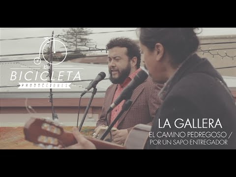 LA BICICLETA - La Gallera - El Camino Pedregoso / Por un Sapo Entregador