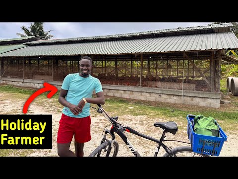 How I Run My Farm While I am On Holiday