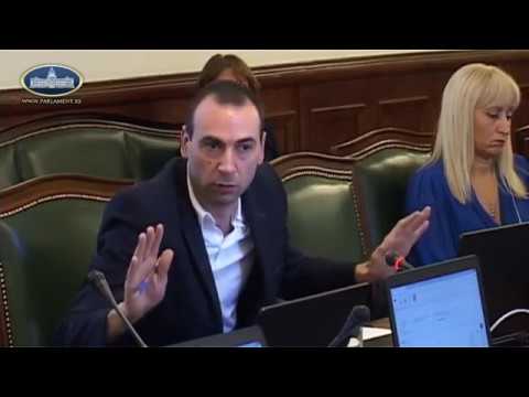 Aleksandar Markovic, SNS, vs Bosko Obradovic, Dveri, Sednica odbora za dijasporu, 17.05.2018. god