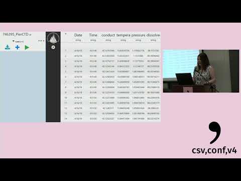 Frictionless Data Processing in the Wild - Amber D. York