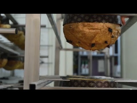 Ricetta panettone di Alfonso Pepe - parte II