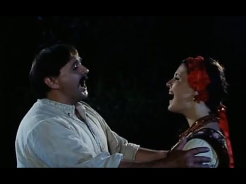 Дует Оксани та Андрія з опери "Запорожець за Дунаєм" С.Гулака-Артемовського