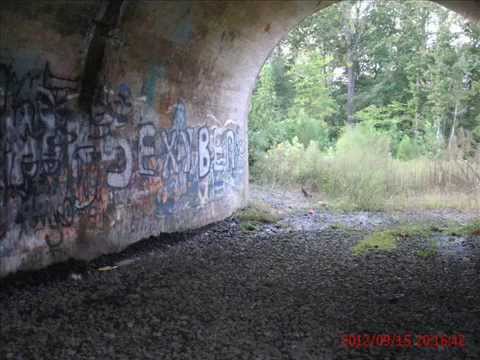 Lydia's Bridge Video 2