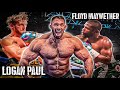 Logan Paul VS Floyd Maywether - Alles fake? Kevin Wolter Reaktion