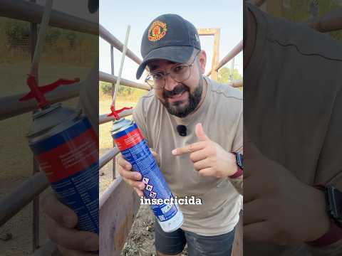 Las AVISPAS van a odiar este truco del CAMPO