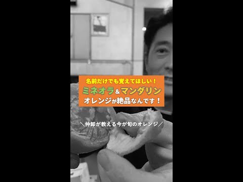 【まさに今が旬の絶品オレンジ】ミネオラオレンジ＆マンダリンを食べてみてほしいんです！#Shorts