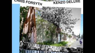 Chris Forsyth   The First 10 Minutes of Cocksucker Blues