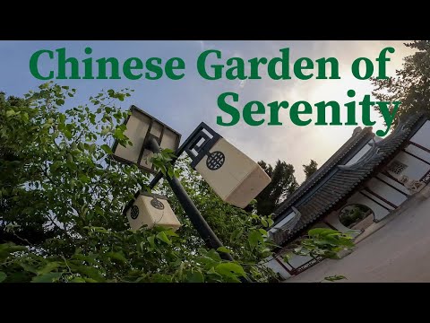 Best of Malta - Chinese Garden of Serenity #2