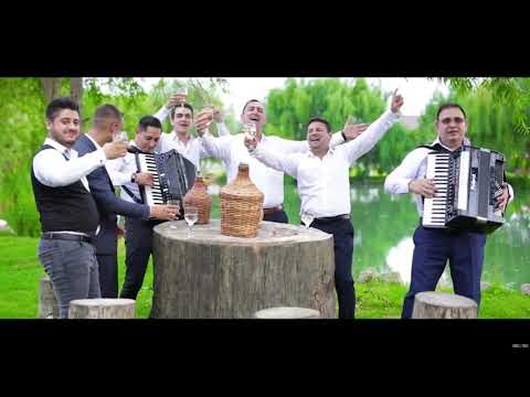 Nicu Paleru – Hai sa cante muzica Video