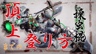 【MHRise】登れない人必見！登頂の仕方@大社跡