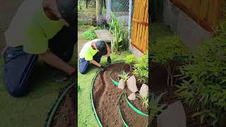 Красивая клумба своими руками!🌿 #сад #gardening