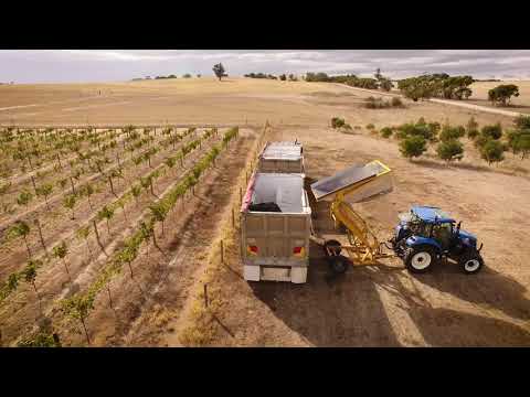 Garden and Field Wines