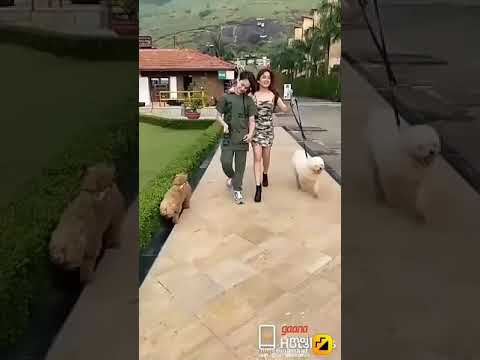 jannat zubair and aayan zubair with their dogs.