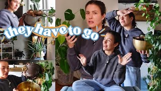 Keep or Purge My CRAZY Plant Collection