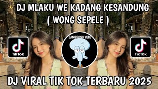 Download lagu DJ MLAKU WE KADANG KE SANDUNG || WONG SEPELE || VIRAL TIKTOK TERBARU 2025‼️ mp3 Download lagu DJ MLAKU WE KADANG KE SANDUNG || WONG SEPELE || VIRAL TIKTOK TERBARU 2025‼️ mp3