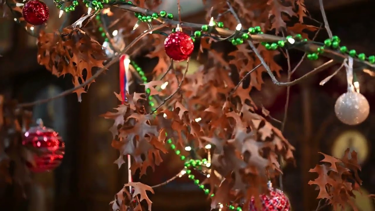 Бадњак 2023   Badnjak 2023