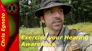 Exercise your Senses - Hearing.