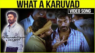 Velaiilla Pattadhari - Tamil Movie - What a Karuvad Song | Dhanush | Anirudh