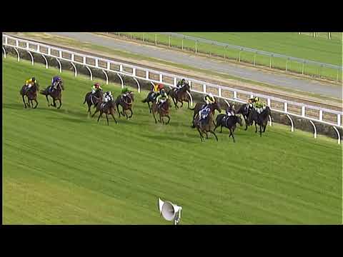 Race Replay: Travis Stakes