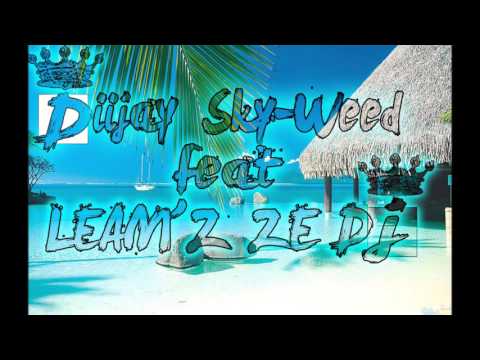 SKYWEED FT LEAMZ ZE DEEJAAY X PARTY 2016