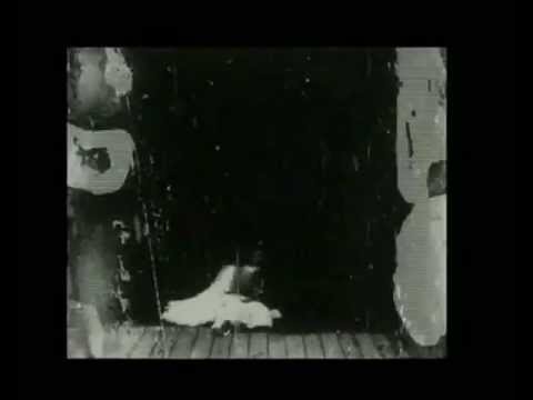 violacida - lei come le altre