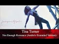 Tina Turner - Not Enough Romance (Andru's Extended Version)