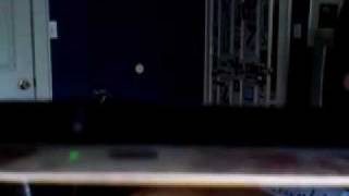 Jah boy at his finest