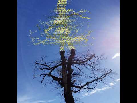 Lætitia Sadier - Rooting for Love (2024 - Full Album)