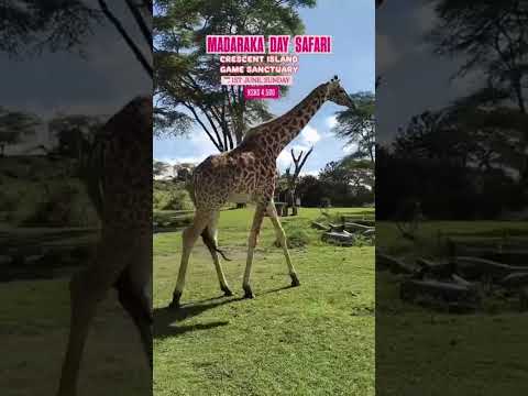 Groupy: Clubs, Trips & Events video thumbnail