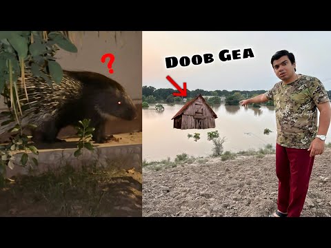 Old Home Flood Mein Doob Gea 😭 Ajeeb Bala Dakhi 😱