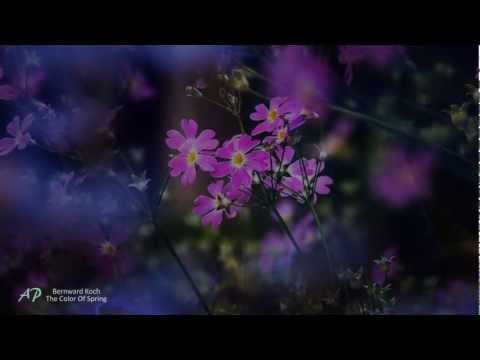 ♥The Color of Spring - BERNWARD KOCH(Relaxing, soothing, emotional music)♥