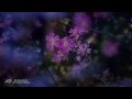 ♥The Color of Spring - BERNWARD KOCH(Relaxing, soothing, emotional music)♥